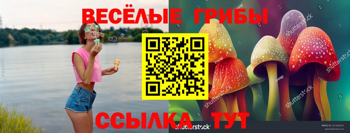 Галлюциногенные грибы мухоморы Березники